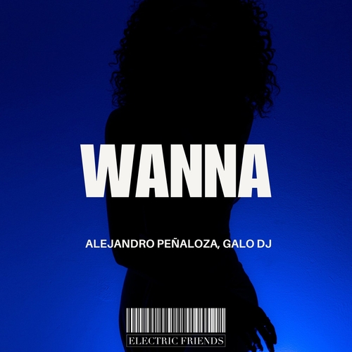 Alejandro Peñaloza & Galo Dj - Wanna [EFM355]